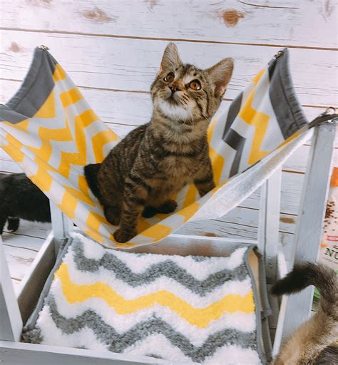 diy cat teepee hammock.